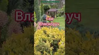 Сад власноруч. Ландшафтний дизайн #садівництво #садсвітласвітлани #хвойні#Ландшафтний дизайн