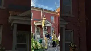 Cat Jumps Out of Firefighter's Arms While Being Rescued