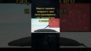 Этот факт спасет твою жизнь 😱👍 