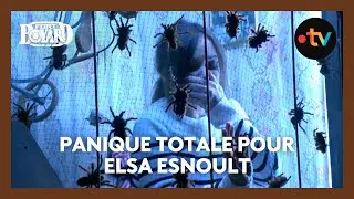 Panique totale pour Elsa Esnoult dans la maison de poupées !