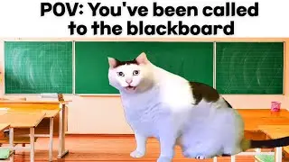 Huh Cat Meme