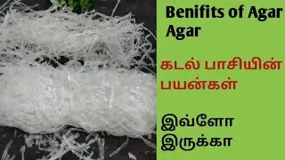 Kadal paasi Benifits in Tamil | Benefits of Agar agar |கடல் பாசி சாப்பிடுவதால் கிடைக்கும் நன்மைகள்