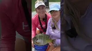 2lb 12oz Bluegill in Alabama