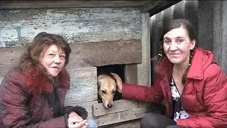 С  ПОДРУГОЙ  СТАВИМ  БУДКУ  ДЛЯ  СОБАКИ