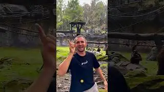 Литвин ПОКОРМИЛ СУБО🤣🔥 