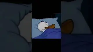 How my wife sleeps 😆 