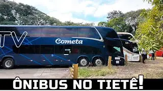 MOVIMENTO DE ÔNIBUS NA MAIOR RODOVIÁRIA DO BRASIL!! A RODOVIÁRIA DO TIETÊ TEM DE TUDO