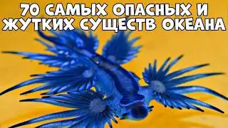 70 САМЫХ ОПАСНЫХ И ЖУТКИХ СУЩЕСТВ МИРОВОГО ОКЕАНА