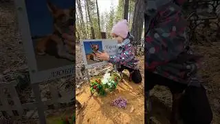 НАВЕСТИЛИ ЧАРЛИ...😭😭😭 