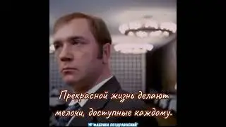 Прекрасной жизнь делают мелочи, доступные каждому! #цитата  #юмор