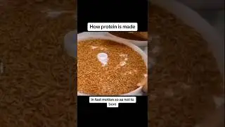 How Protein Is Made😳 