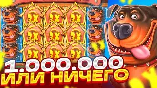 ЗАНОС НА 1.000.000 ИЛИ 0 В ДОГ ХАУС! СЛОВИЛ БОНУС ПО 2000Р НА ***X