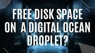 How to check how much free disk space do you have on your Digital Ocean droplet?