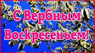 С Вербным воскресеньем!  Красивое поздравление  открытка с Вербным Воскресеньем 2024!