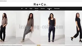 Shopify website examples basic design