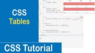 #21 CSS Tables | Table Borders | Table Height & Width | Hoverable Table | Striped Table