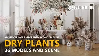 Dry Plants for Architectural Visualizations - Archmodels vol. 294