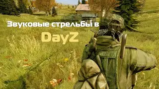 Звуковые стрельбы в DayZ