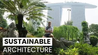 How to Become a Sustainable Architect | Eco-Friendly Design