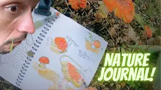 Nature Journal Mushrooms with me!