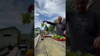 Боевой тест шнековой СКВЖМ HUROM H-AA-LBE17