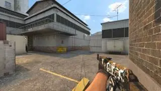 CS:GO - Maniac 