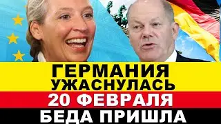 ГЕРМАНИЯ 20-ФЕВРАЛЯ. Новые потрясения в Европе. Украинцы приняли решение. Шансы AfD растут. Новости