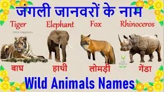 Wild Animals Names With Picture  , जंगली जानवरों के नाम  | Wild Animals Names In Hindi And English