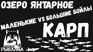 Фармовая точка на карпа. Сравниваем бойлы 15 и 20 размера. Озеро янтарное. Русская рыбалка 4.