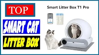 5 Best Smart Cat Litter Box