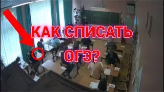 КАК СПИСАТЬ НА ОГЭ 2024? ГАЙД БЕЗ ВОДЫ!