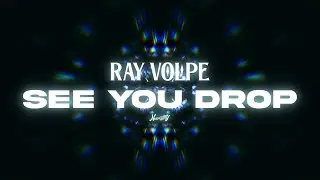 RAY VOLPE - SEE YOU DROP