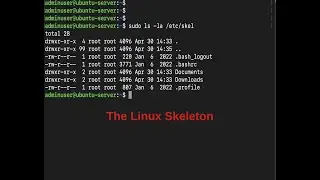 The Linux Skeleton | /etc/skel Directory | Linux User Management