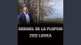 PE SOSEAUA URZICENI MAI SOFERILOR