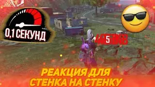 КАК ПРОКАЧАТЬ РЕАКЦИЮ ДЛЯ СТЕНКА НА СТЕНКУ? 😨