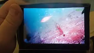 5 ахд с внешним светом, 5 м. глубина, Яузское водохранилище