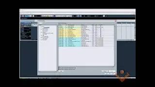 (Cubase) How to Map midi CC in Cubase