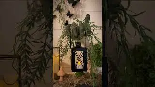 🌿🦋🖤 Spooky Garden #halloween #spookydecorations