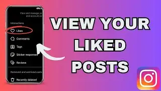 How to View your Liked Posts on Instagram (2024)