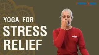 Yoga For Stress Relief | Pranayama for Immunity | Breathing Exercise for anxiety and sleep