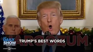 Trumps Best Words: The Daily Show