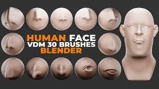 Human Face VDM Brushes for Blender. Sculpting Human Face in Blender.