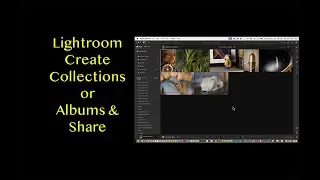 Lightroom: Creating collections and Albums and Sharing Them