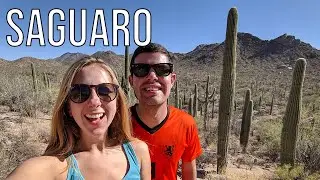 Crazy Cactus in Saguaro National Park - Van Life | Ep. 112