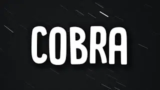 Megan Thee Stallion - Cobra (Lyrics)