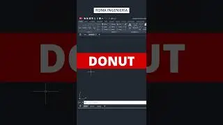 DONUT 