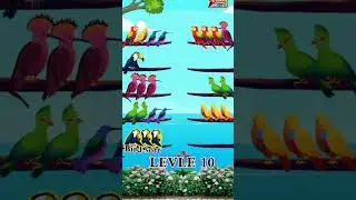 Bird Sort Color Puzzle Game Level 10//short bird game //puzzle short game