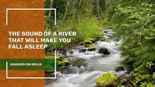 River Bubbling That Will Make You Sleepy In 10 Minutes, Little Birds Chirping ✦ Forest Sounds