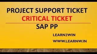 support project ticket sap pp | Update control of movement type is incorrect | sap pp support ticket