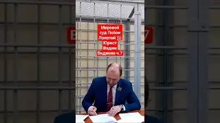 Мировой суд Побои Лопатой судья Шиврина юрист Вадим Видякин Киров в Законе ч.7
